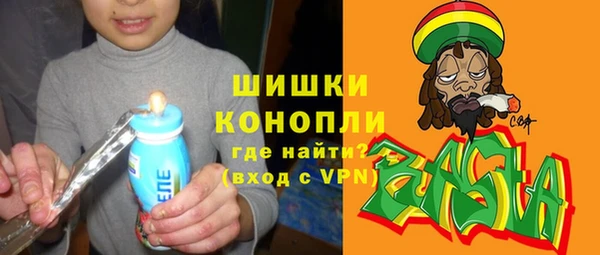 твердый Арсеньев