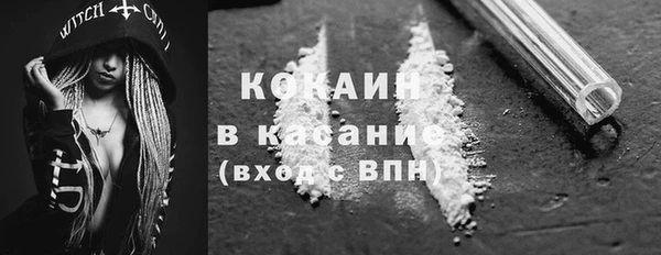 твердый Арсеньев