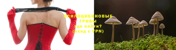 твердый Арсеньев