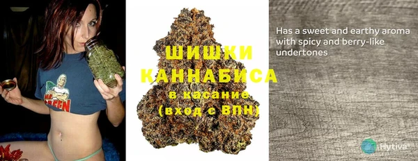 твердый Арсеньев